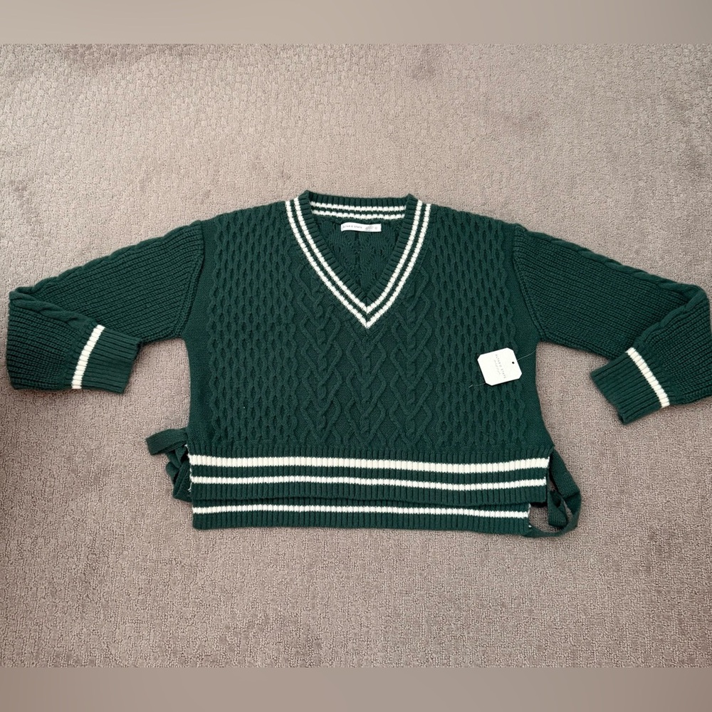 NWT Cropped V-neck Altar’d State sweater